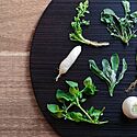 春の七草とは?覚え方や種類、特徴、名前の由来などをご紹介