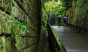 【猿島観光】日帰り可能な東京湾の無人島！有名スポットやレジャーなどをご紹介♪