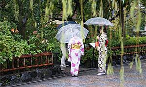 【京都】雨の日にこそ訪れたい！オススメの観光・グルメ・体験スポット15選
