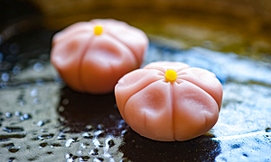和菓子とは？種類や歴史、季節ごとの和菓子やオススメのお取り寄せ商品もご紹介！