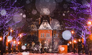 さっぽろ雪まつりとは？みどころは雪像だけじゃない！