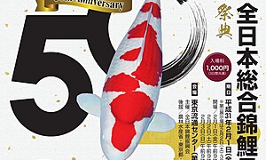 第50回記念全日本総合錦鯉品評会に行ってみた！