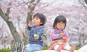 【春分の日とは】2024年は3月20日！由来や過ごし方をご紹介♪
