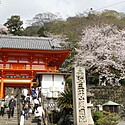お寺の種類