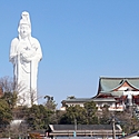 籃胎漆器とは?歴史や魅力をご紹介!(福岡県久留米)