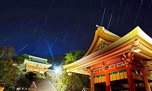 神社の種類