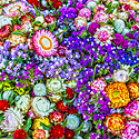 生け花(華道)の基本の生け方・ルール~初心者必見!