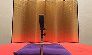 圓生百席～昭和の名人が遺した名演～