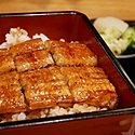 2024年の「土用の丑の日」はいつ?鰻を食べる以外にしたいこと!