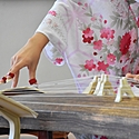 琴とは?箏との違いや魅力、はじめ方をご紹介!