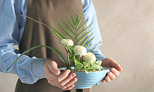 【初心者向け】華道（いけばな）入門～花材・テクニックガイド