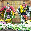 菊人形 ~職人がつくり上げた総合芸術~