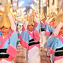 高円寺阿波おどり連協会所属「菊水連」に会ってみた!