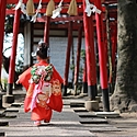 七五三っていつ!?何するの?お参りの時期や年齢をご紹介♪