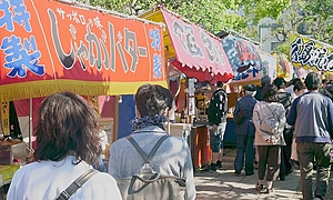 「日本伝統文化フェスタ」で日本を楽しもう！
