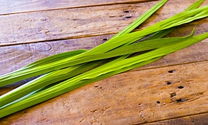 端午の節句（こどもの日）の菖蒲湯とは？効能・作り方・由来をご紹介！