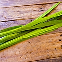 端午の節句(こどもの日)の菖蒲湯とは?効能・作り方・由来をご紹介!