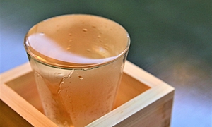 【九州の日本酒8選】オススメの銘柄やそれぞれの特徴をご紹介♪