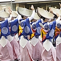 【2024】徳島の阿波踊りとは?都内で見れる場所、種類や衣装などご紹介