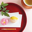 東京の和菓子店~老舗から人気の名店まで~