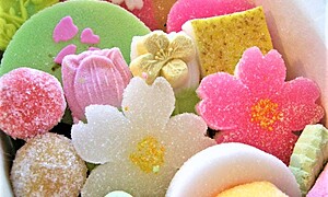茶道（お茶会）の干菓子の種類とは？干菓子と主菓子の違いも解説