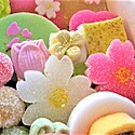茶道(お茶会)の干菓子の種類とは?干菓子と主菓子の違いも解説