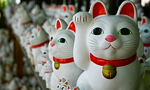 招き猫とは？招き猫が招く福ってどんな福？