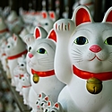 招き猫とは?招き猫が招く福ってどんな福?