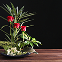 華道(生け花)の資格、お免状とは?流派ごとの種類、段位、費用
