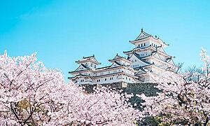 白亜の世界遺産・国宝「姫路城」とは？歴史や伝説、楽しみ方ガイド！