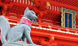 【伏見稲荷大社】見どころは千本鳥居だけじゃない！歴史を辿って魅力を知ろう