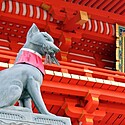 【伏見稲荷大社】見どころは千本鳥居だけじゃない!歴史を辿って魅力を知ろう