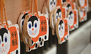 安産祈願にオススメ！東京の神社仏閣12選