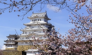 【大包平とは？】横綱に例えられる日本刀の最高傑作！大包平事件についても紹介