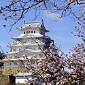 【大包平とは?】横綱に例えられる日本刀の最高傑作!大包平事件についても紹介