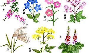 秋の七草の覚え方、意味・由来、種類や特徴をご紹介♪