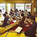 久松彩子 箏/琴 三味線 十七絃教室/東京都、埼玉県、茨城県の琴(箏)教室