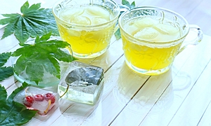 暑気払いとは？時期はいつ？食べ物、納涼会との違い、飲み会案内文まで解説