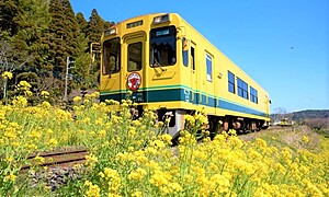 千葉県の伝統的工芸品一覧