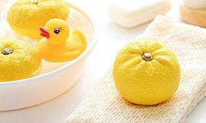月ごとの【季節湯】をご紹介♪ ゆず湯や菖蒲湯だけじゃない！