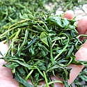 日本茶の主な製造工程(お茶ができるまで)