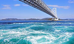 徳島県の伝統的工芸品一覧