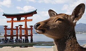 広島県の伝統的工芸品一覧