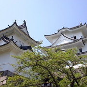 伊賀焼