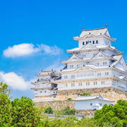城