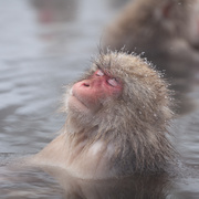 温泉