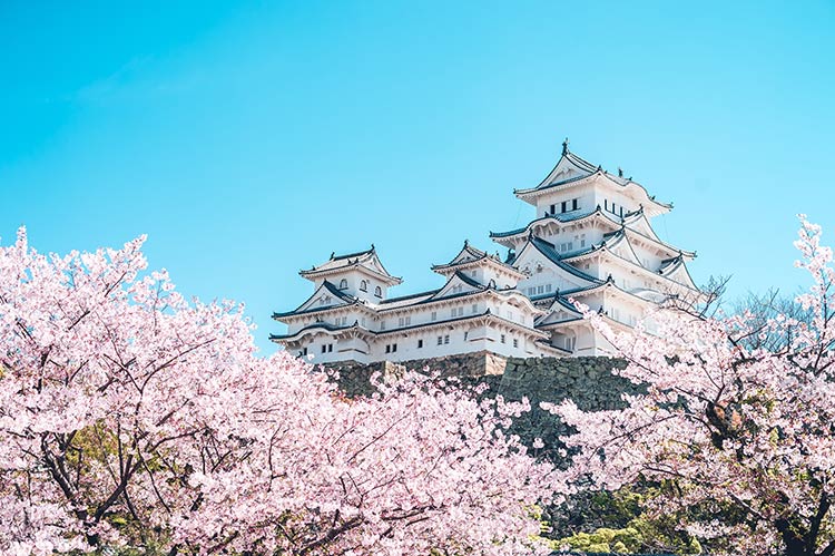 白亜の世界遺産・国宝「姫路城」とは？歴史や伝説、楽しみ方